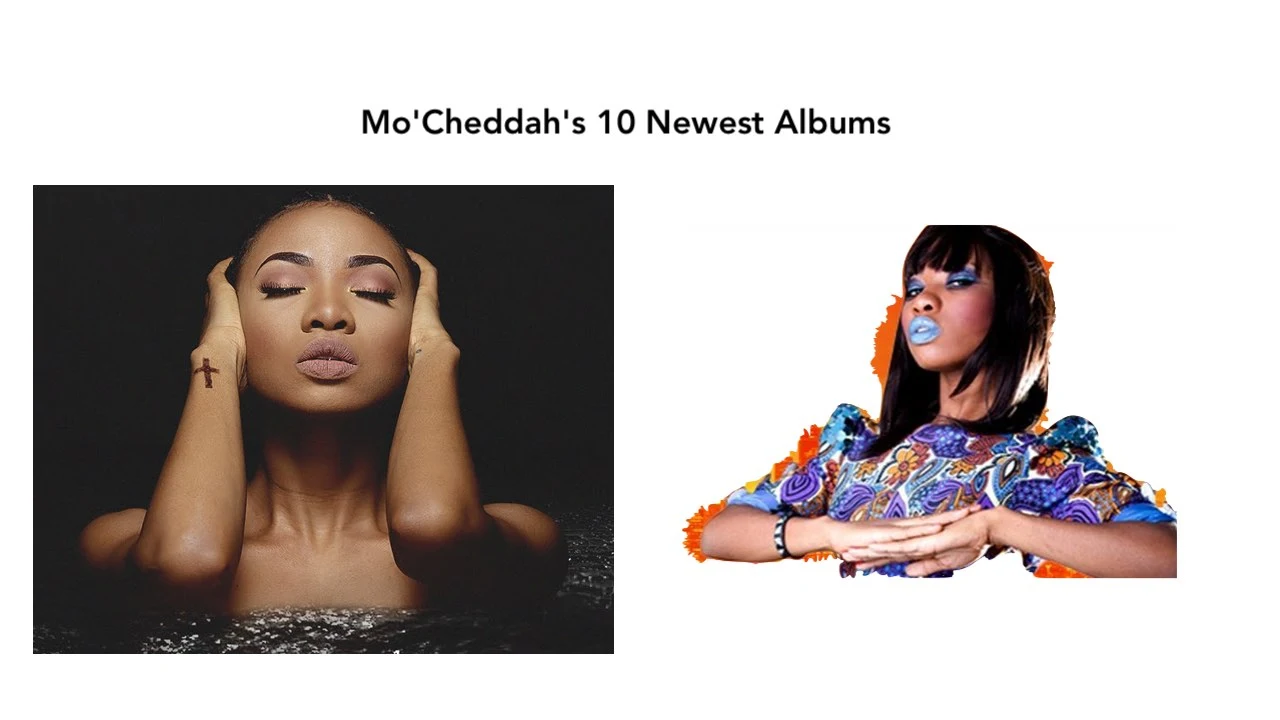 MoCheddahs 10 Newest Albums